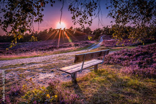 Lüneburger Heide - Take a seat for sunset photo