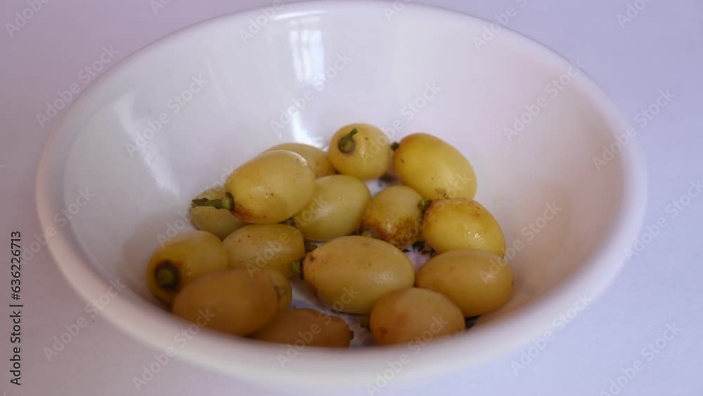Azadirachta indica fruits.
It's other names Neem, nimtree or Indian lilac. Its fruits are the source of neem oil. Many aruvedic medicines are made from its seeds and fruits. Azadirachta indica fruits.
It's other names Neem, nimtree or Indian lilac. Its fruits are the source of neem oil. Many aruvedic medicines are made from its seeds and fruits.