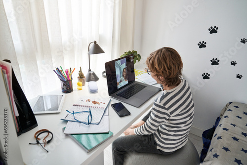 Curly haired boy talking on video chat with classmate at home