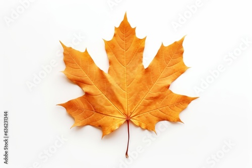 maple leaf  iconic symbol of canada  floating gently in white space  Generative AI