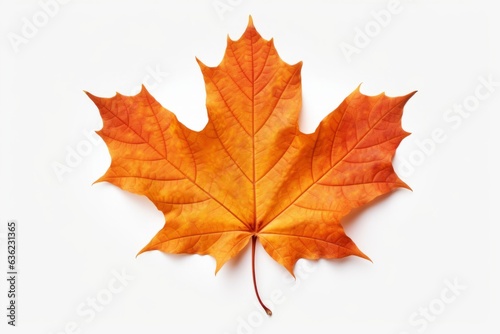 maple leaf  iconic symbol of canada  floating gently in white space  Generative AI