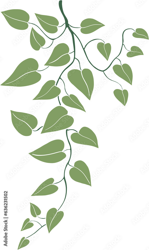 Simplicity ivy freehand drawing.