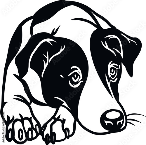 Jack Russell Terrier dog - Lying dog vector stock isolated illustration on white background.