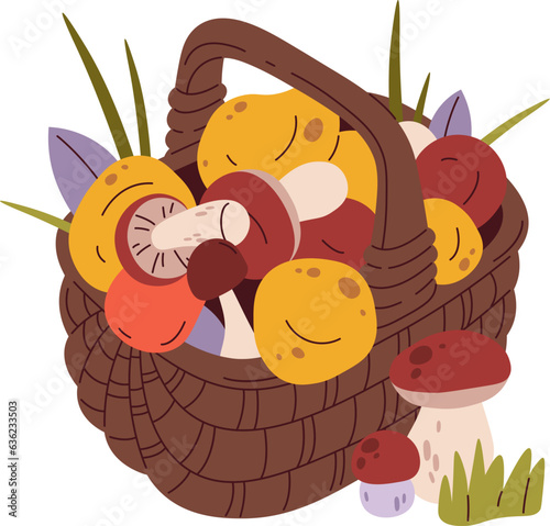 Wicker Basket With Mushrooms