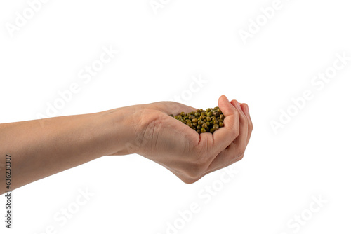 Mung beans in hand on transparent background © apinya