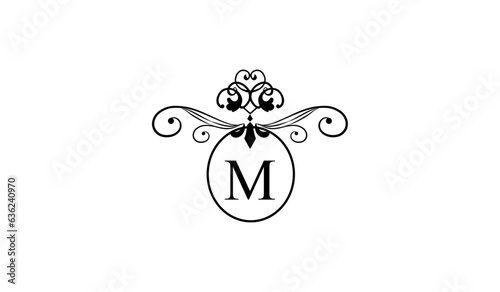 LUXURY EAR RINGS LOGO M