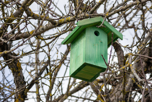 green bird house in a tree