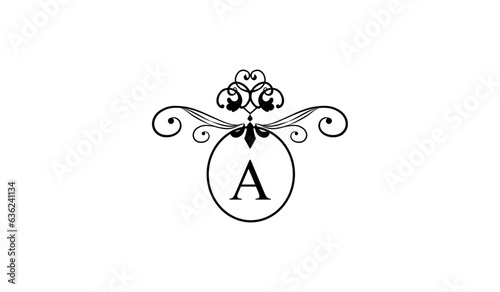 LUXURY EAR RINGS LOGO A