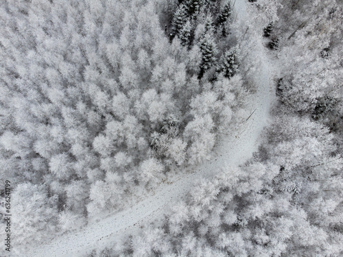 Aerial, drone view of forest and a path covered with snow. Snowy winter landscape photography.