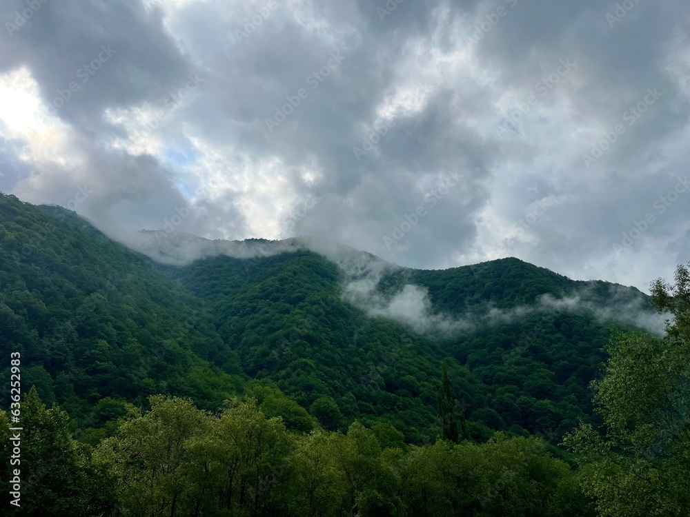 greet mountain   in  misty clouds georgia  