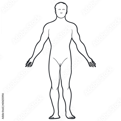 human standing, vector illustration line art