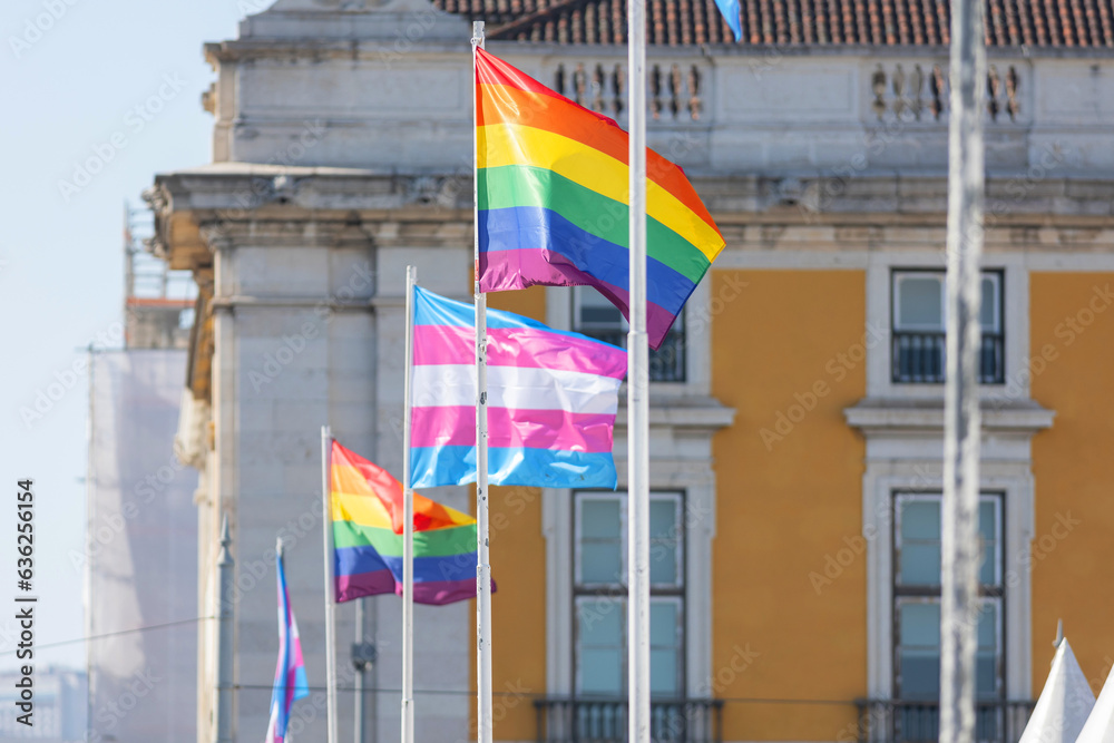 LGBT rainbow flag and transgender flag on the flagpoles outdoors LGBT rainbow flag and transgender flag on the flagpoles outdoors