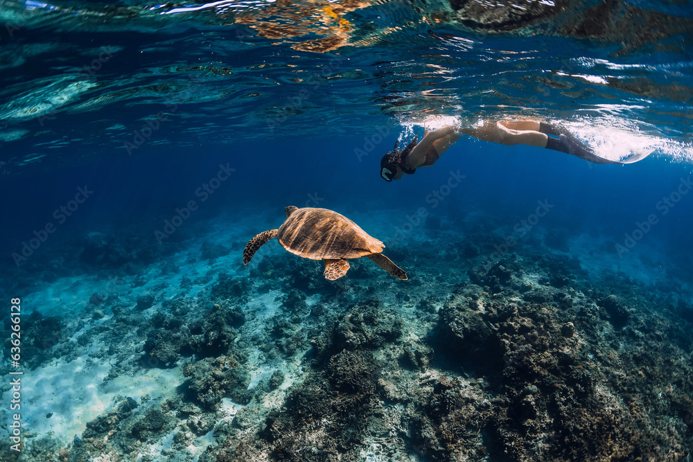 Obraz premium Woman freediver swim with sea turtle underwater in transparent ocean