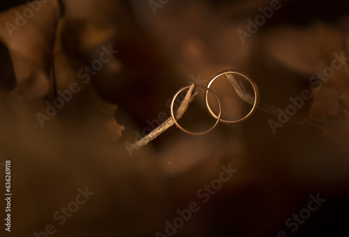 wedding rings on leaves