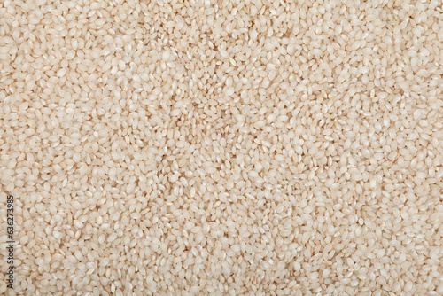 Texture of Calasparra rice or arroz calasparra, close-up. Design element. Spanish processed white bomba rice for paella with exceptional culinary qualities. Natural Organic Product