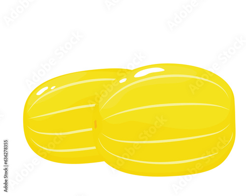 Korean melon chamoe. Stock vector illustration. Small yellow round sugar fruit. Dessert. Sugar Melon pumpkin. Sweet cantaloupe. Fresh muskmelon. Isolated on a white background. Summer vegetable