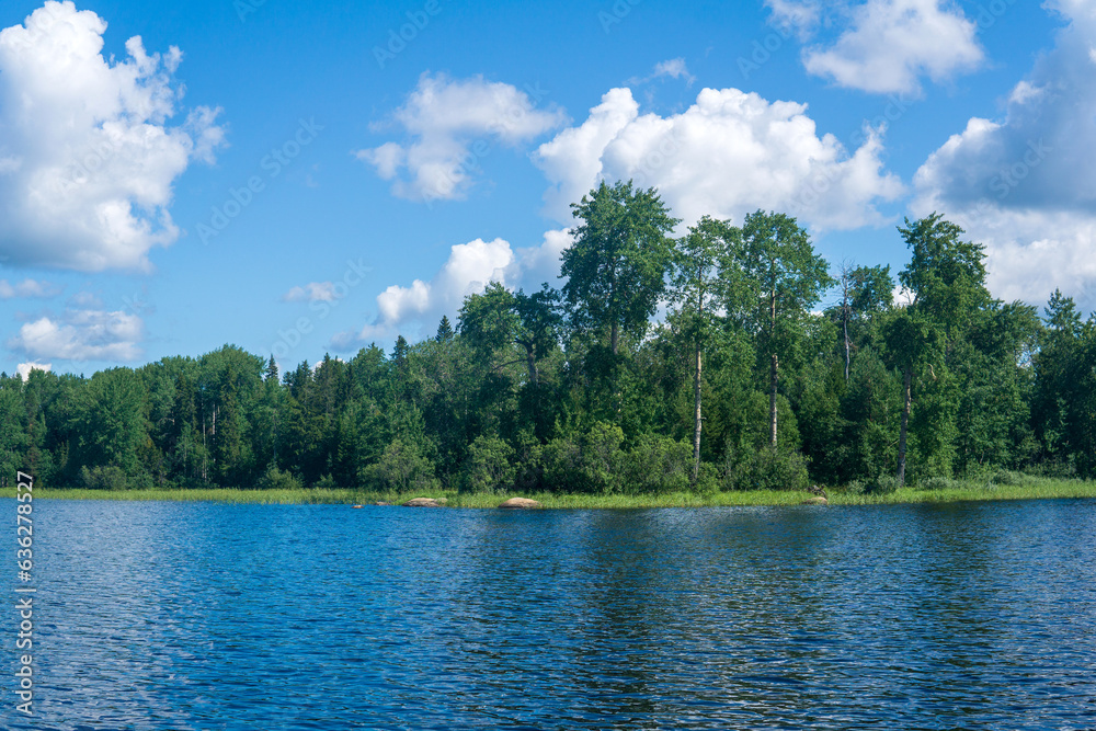 Fototapeta premium waterscape, wooded shore of the lake, view from the water on a sunny day