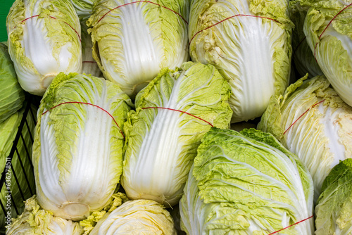 Canvas Print chinese / napa cabbage close up  a stasble of east asian cuisine
