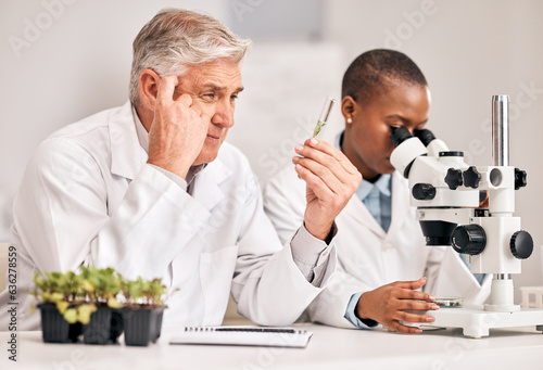 Scientist, thinking and teamwork of plants, agriculture solution and problem solving on microscope research. Science doctor or mentor ideas, growth study or test tube for sustainability in laboratory
