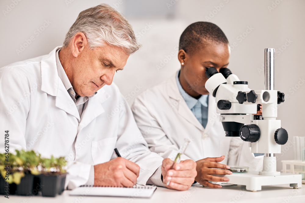 Science, microscope and sample with a medical team in the laboratory for biochemistry or sustainability. Research, agriculture or growth with a man and woman scientist in a lab for innovation Science, microscope and sample with a medical team in the laboratory for biochemistry or sustainability. Research, agriculture or growth with a man and woman scientist in a lab for innovation