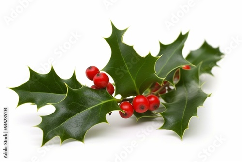 Holly bush on white background. Generative AI