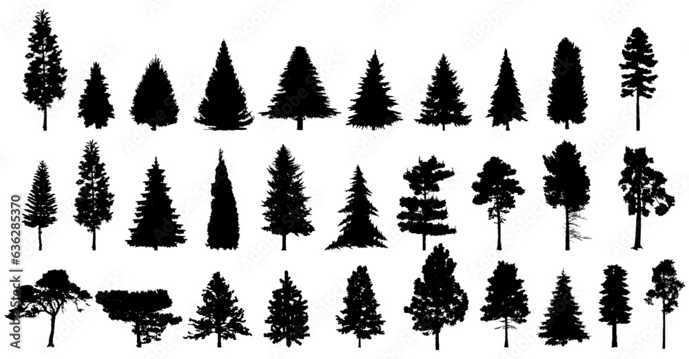 Spruce tree silhouette collection on white background