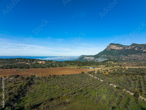 Aerial view, Spain, Balearic Islands, Mallorca, Valldemossa, agricultural property