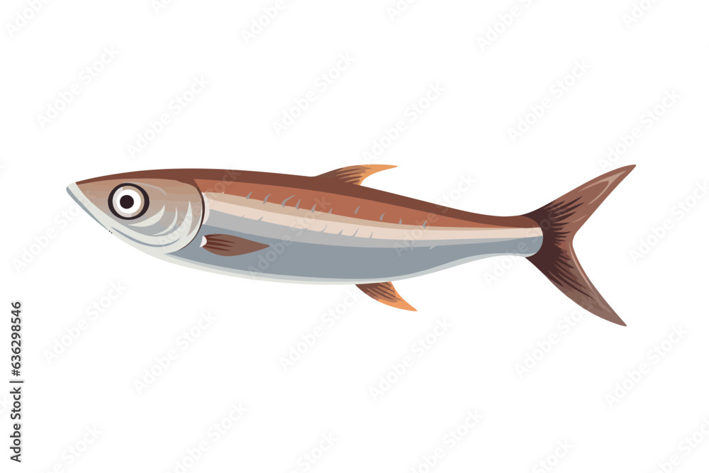 Anchovy vector flat minimalistic isolated illustration Anchovy vector flat minimalistic isolated illustration