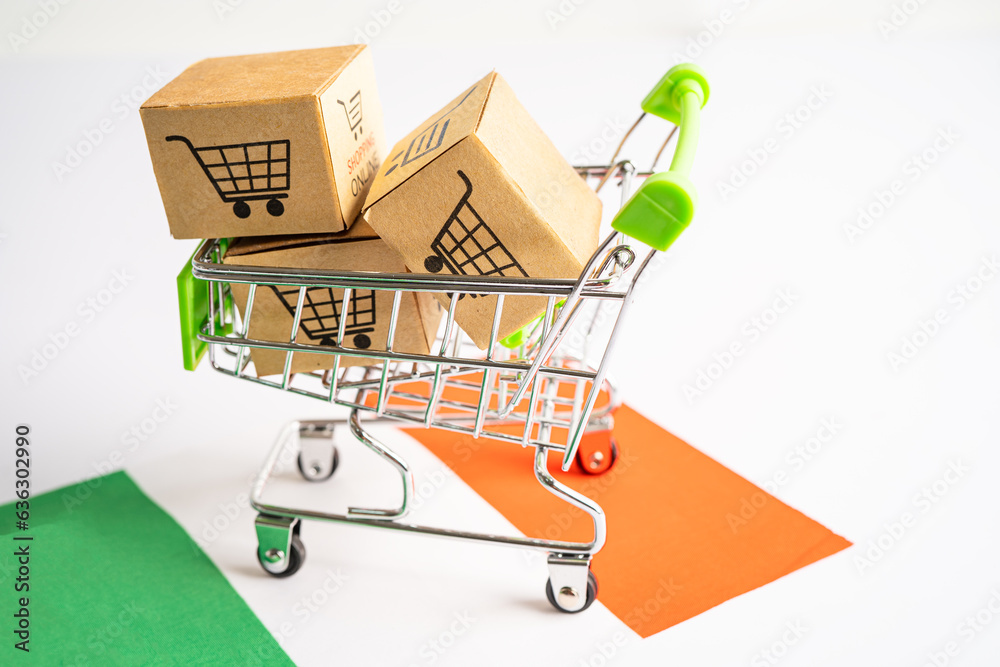 Box with shopping online cart logo and Ireland flag, Import Export Shopping online or commerce finance delivery service store product shipping, trade, supplier concept.