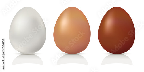 Set of realistic dark, light brown and white  whole chicken eggs. 3d Mockup color organic eggs. Vector illustration isolated on white background. Natural white and brown eggs for Easter.