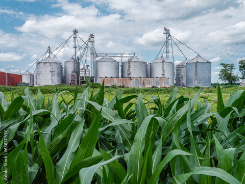 Silos and Cornfield, Farming Indiania