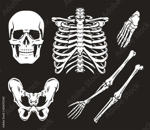 Disassembled skeleton monochrome set stickers