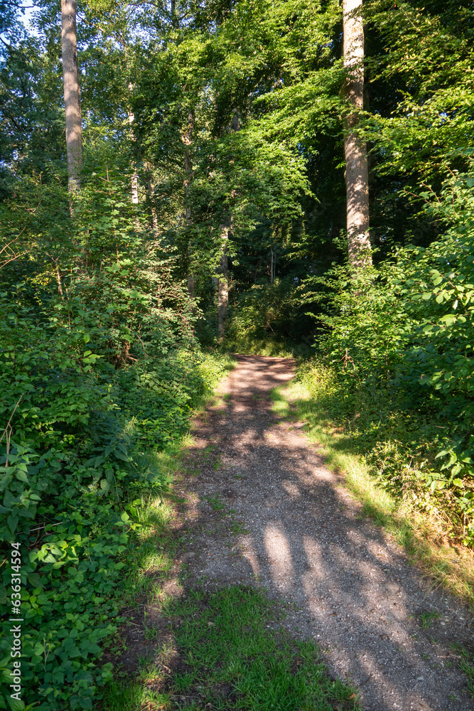 Wanderweg durch das Eichenwäldchen in Winhöring, Landkreis Altötting, Oberbayern, Bayern, Deutschland Wanderweg durch das Eichenwäldchen in Winhöring, Landkreis Altötting, Oberbayern, Bayern, Deutschland