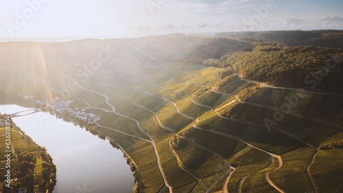 Fotografía Piesport an der Mosel