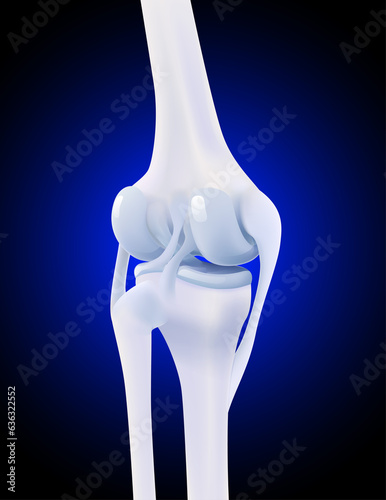 3d illustration of posterior collateral ligament of human knee bone on dark blue background. Used in medicine, education, science and industry.