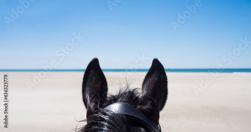 Fototapeta Naklejka Na Ścianę i Meble -  black stallion and woman on the beach