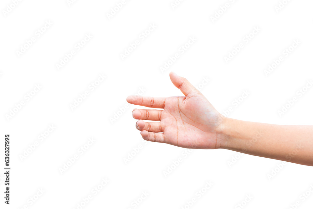 Fototapeta premium Hand gestures for holding smartphones or things isolated on white background.PNG