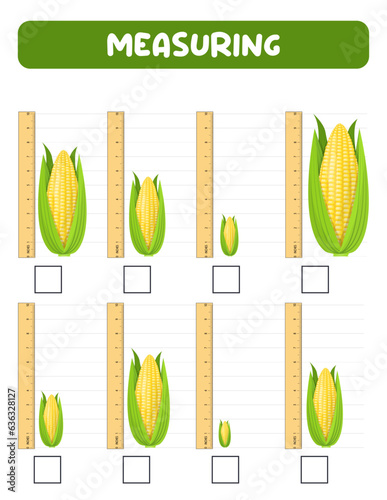 Measuring length  with ruler. Education developing worksheet. Game for kids.Vector illustration. practice sheets.Corn measurement in inches