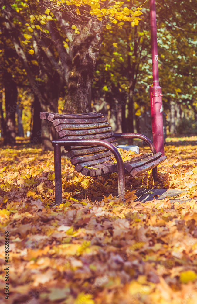 Autumn background-bench in the city Park
