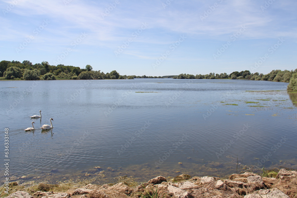 Lac of Der Chantecoq Champagne Grand Est France