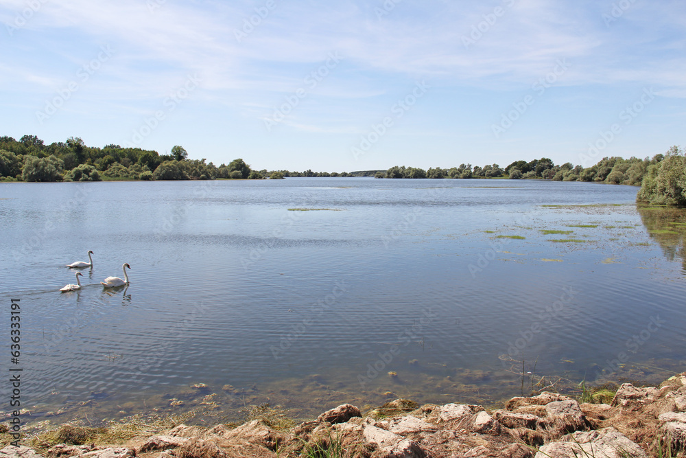 Lac of Der Chantecoq Champagne Grand Est France