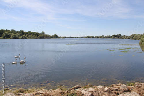 Obraz na płótnie Lac of Der Chantecoq Champagne Grand Est France w salonie