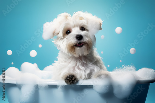 Funny puppy sitting in bathtub waiting for grooming. Banner for pet shop, grooming salon. Generative AI