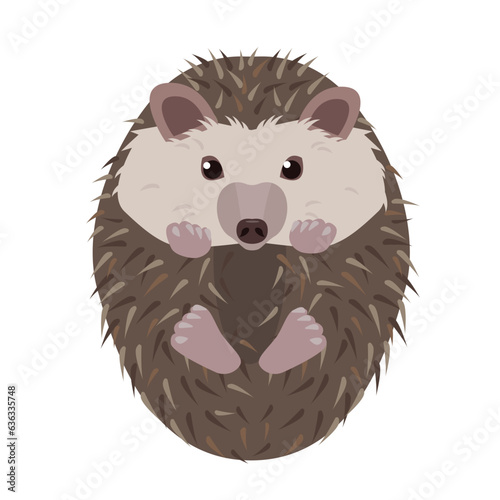 Hedgehog animal isolated on white background. Prickly hedgehog curled up. Wild forest animal. Vector icon illustration.