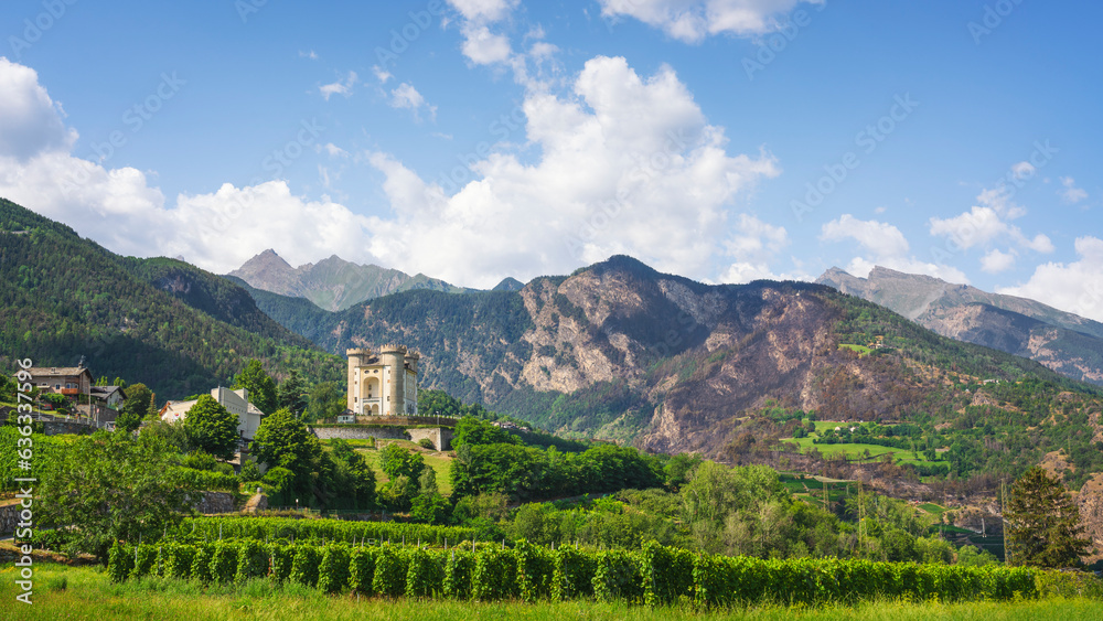 Naklejka premium Vineyards below the castle of Aymavilles. Aosta Valley, Italy