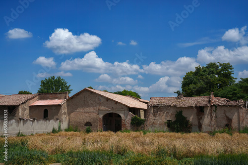 Cultivated fields near Voghera, Italy, at June