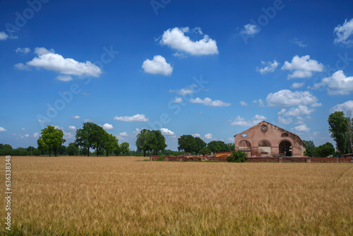 Cultivated fields near Voghera, Italy, at June