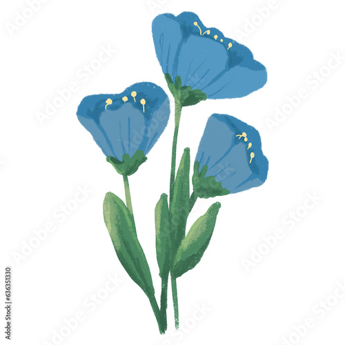 Blue flowers illustration