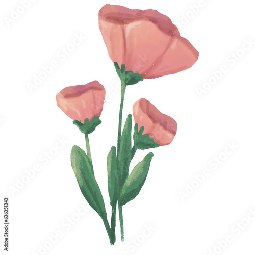 Pink flowers illustration