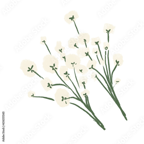 Wild flowers illustration